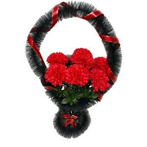 Е (Хризантема)