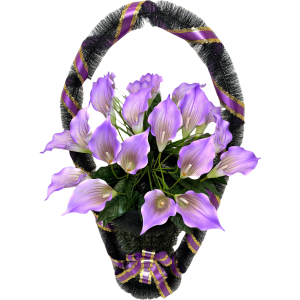 Е (Калла)