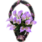 Е (Калла)