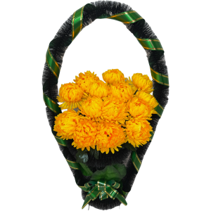 Е (Пионы)