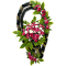 Элит (Пионы)